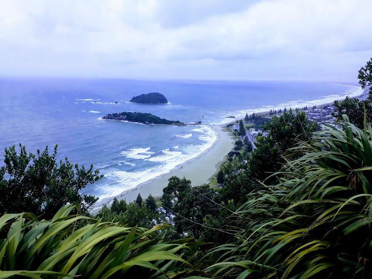 Downtown Mount B And B Mount Maunganui Dış mekan fotoğraf